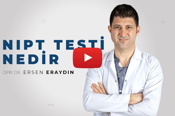 NIPT Testi Nedir? | Opr. Dr. Ersen Eraydın