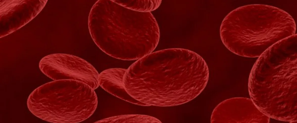 Akdeniz Anemisi Nedir, Nasıl Tedavi Edilir?